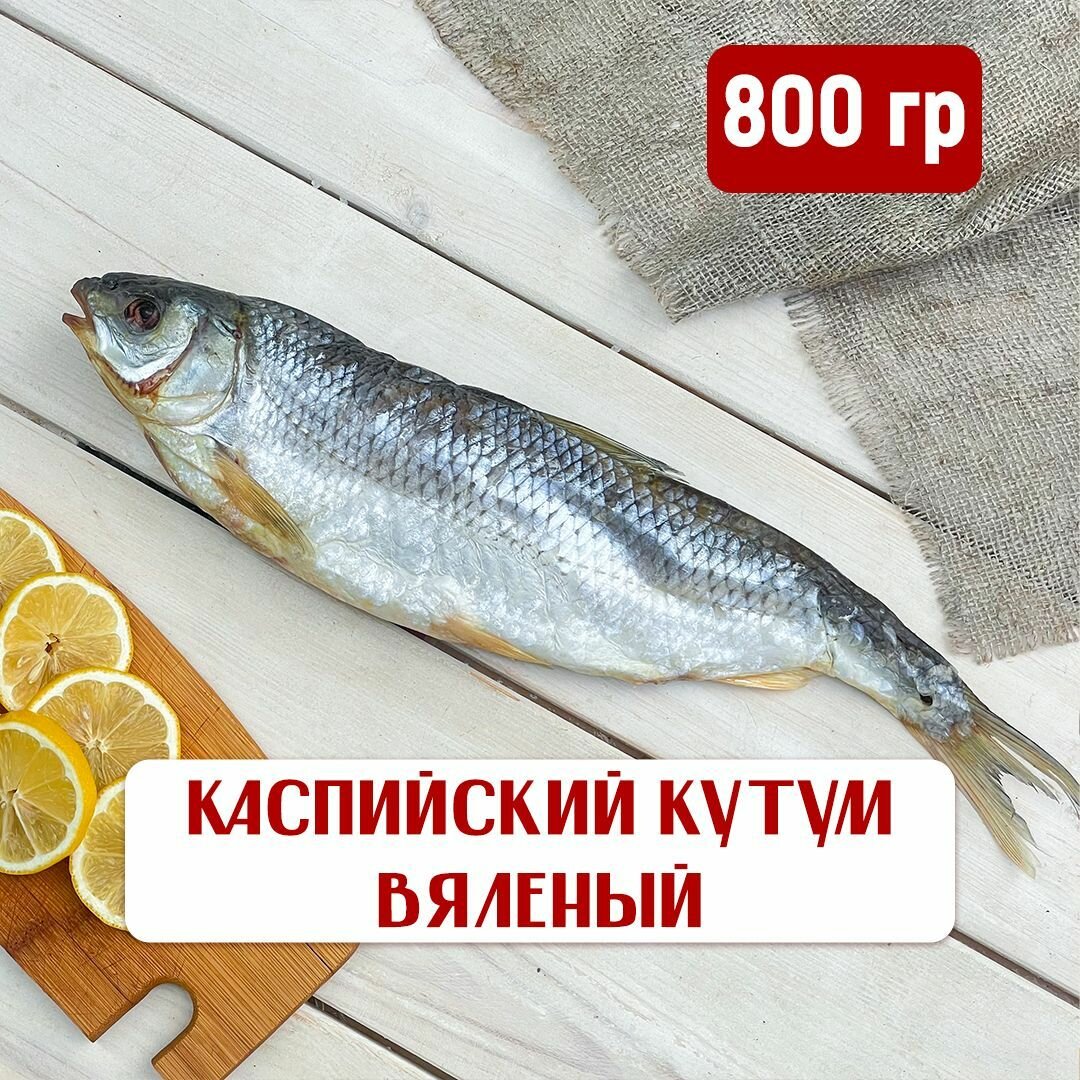 Кутум вяленый Дагестан 700-900гр (деликатес)